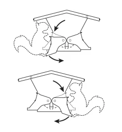 Outlet Double-Sided Large Squirrel-Resistant Feeder Birding