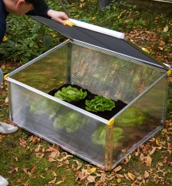 Sale Double-Walled Cold Frame Plant Protection