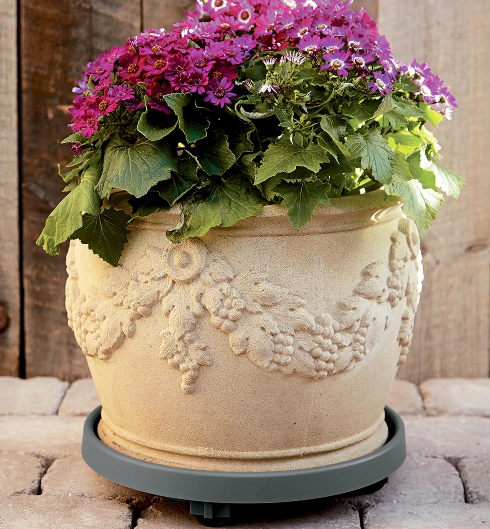 Hot Elho Rolling Pot Saucer Container Gardening