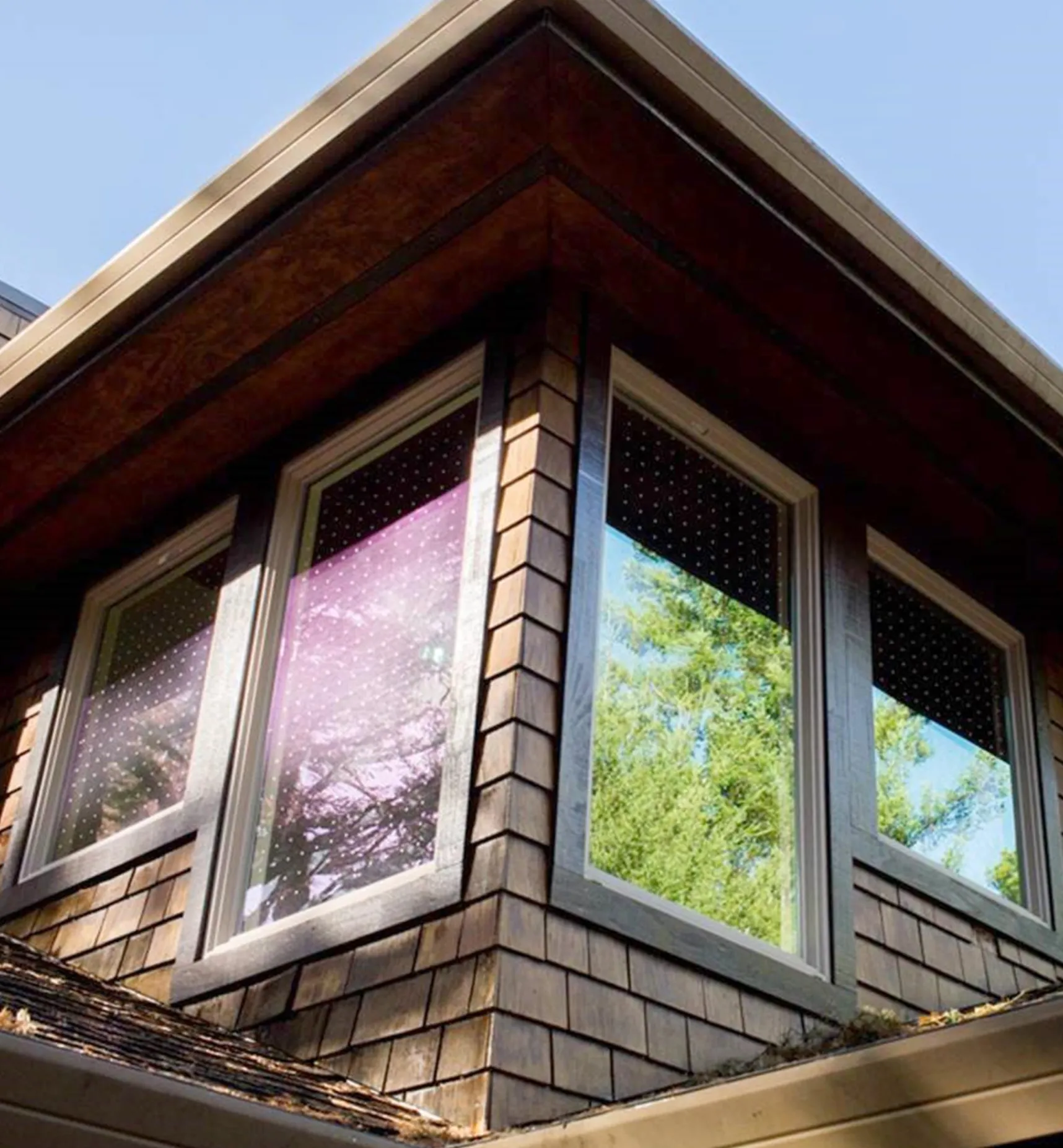 Best Feather Friendly Window Collision Tape Pest Control