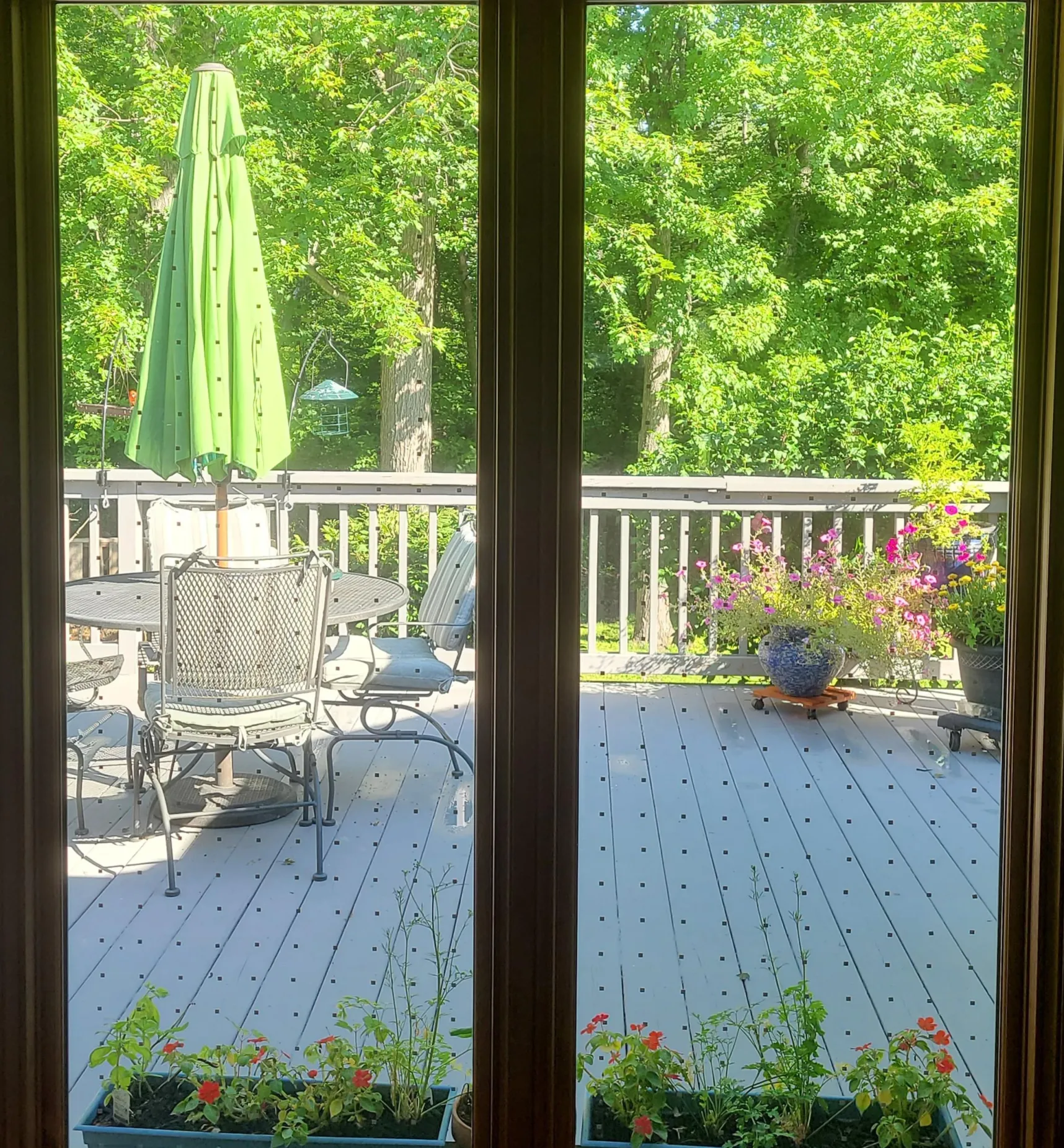 Best Feather Friendly Window Collision Tape Pest Control