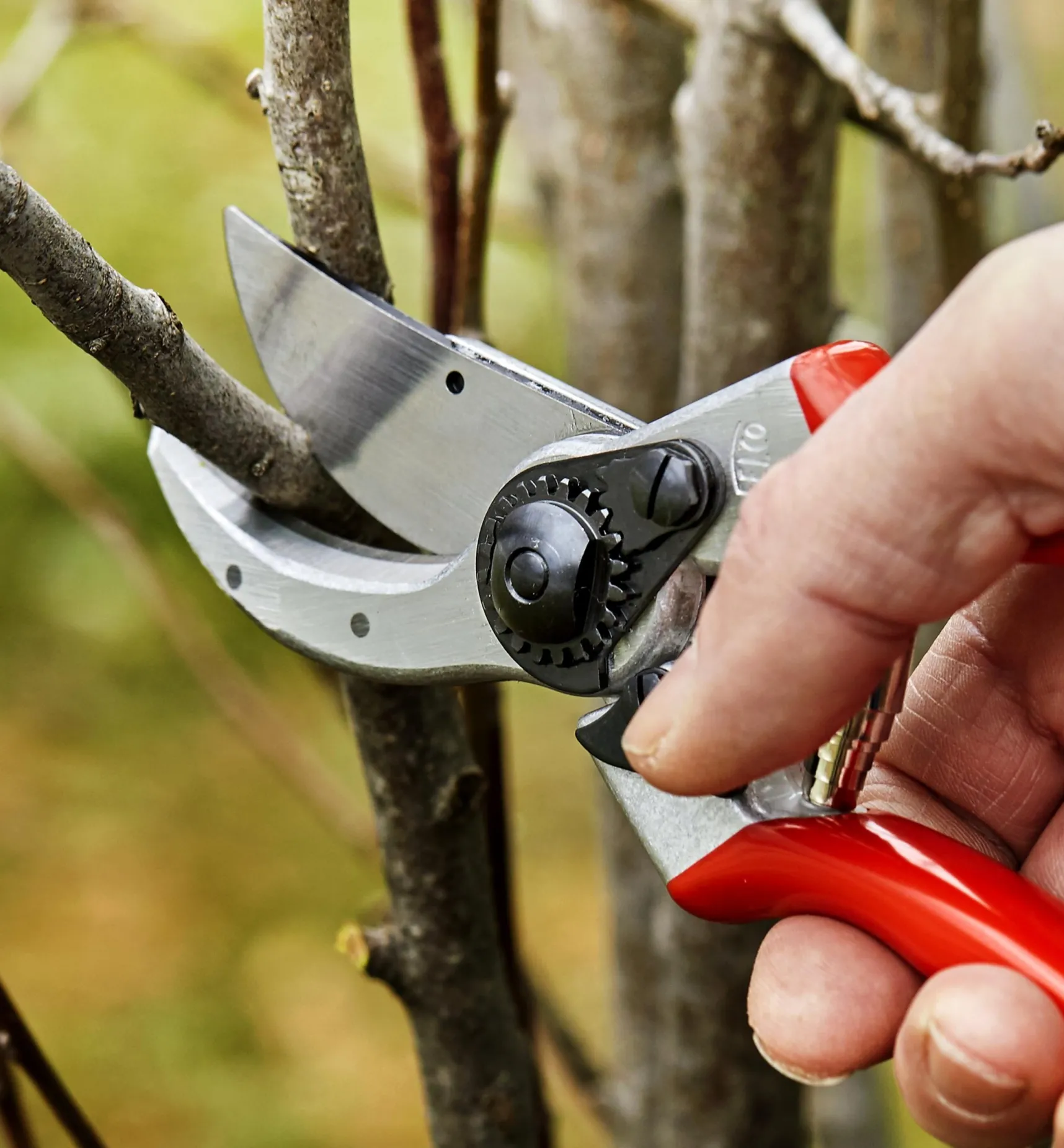 Discount Felco #2 Classic Pruner Pruners