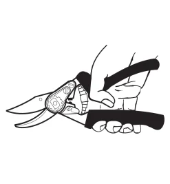 Best Felco #12 Pruner Pruners