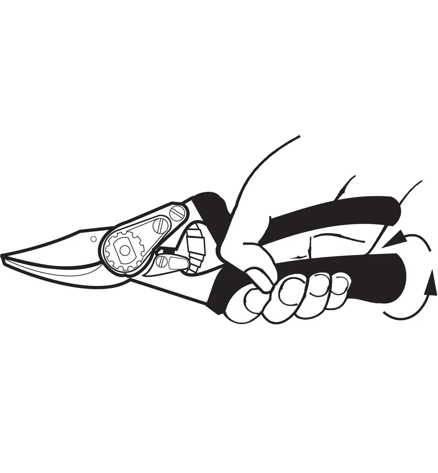 Best Felco #12 Pruner Pruners