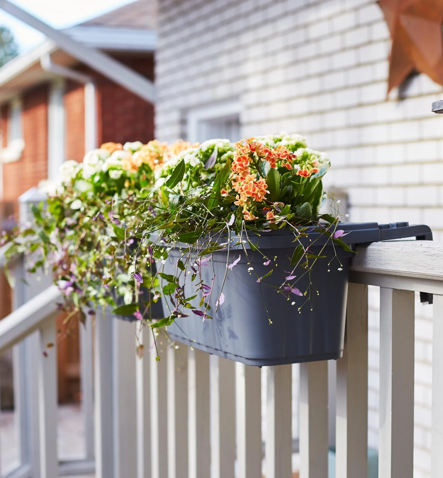 Online Fence & Railing Planters Container Gardening