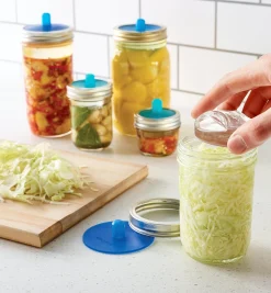 New Fermentation Sets Canning & Preserving