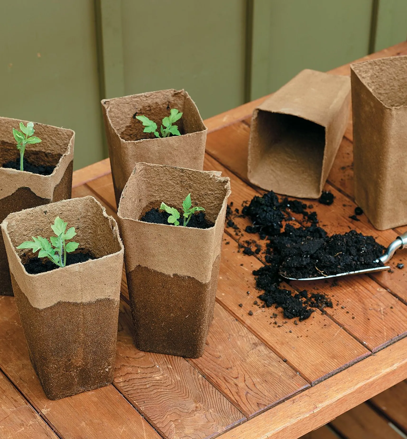 Outlet Fiber Pots Seed Starting