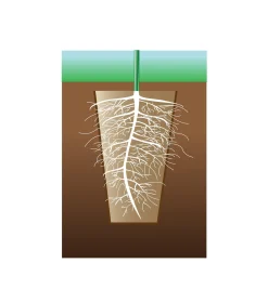 Outlet Fiber Pots Seed Starting