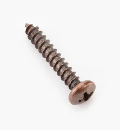Outlet Finished Steel Screws Screws