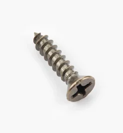 Outlet Finished Steel Screws Screws