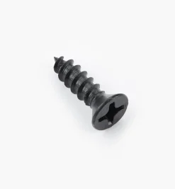 Outlet Finished Steel Screws Screws