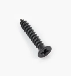 Outlet Finished Steel Screws Screws