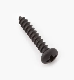 Outlet Finished Steel Screws Screws