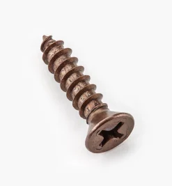 Outlet Finished Steel Screws Screws
