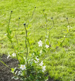 Best Flexible Garden Stake Stakes