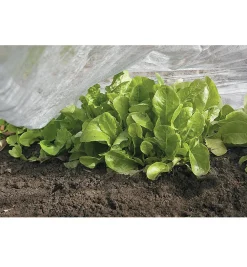 Clearance Floating Row Cover Plant Protection