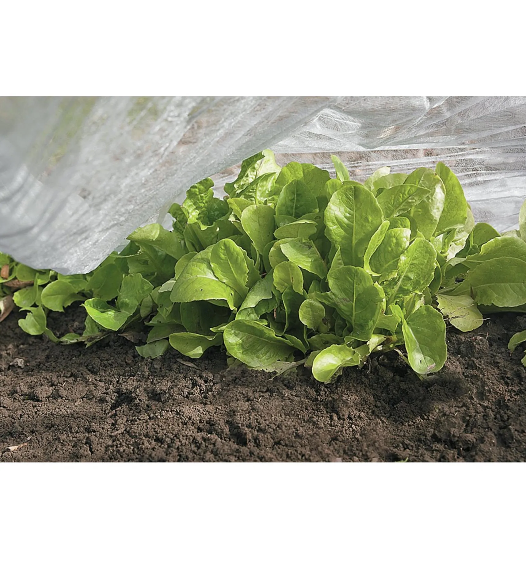 Clearance Floating Row Cover Plant Protection