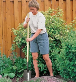 Hot Floral Shovel Shovels