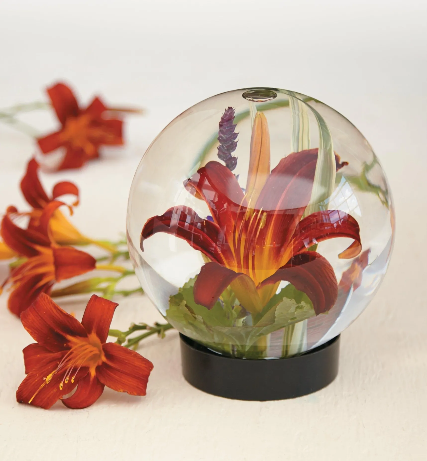 Clearance Flower Aquarium Indoor Gardening