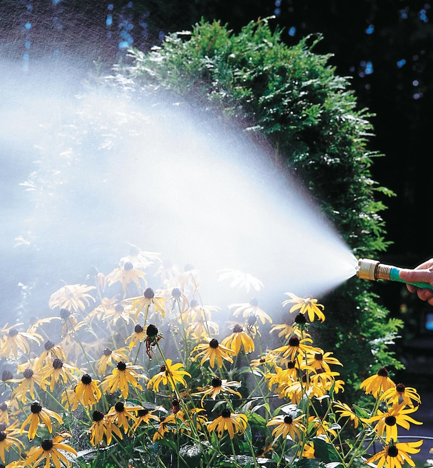Hot Fogging Nozzle Hoses & Accessories