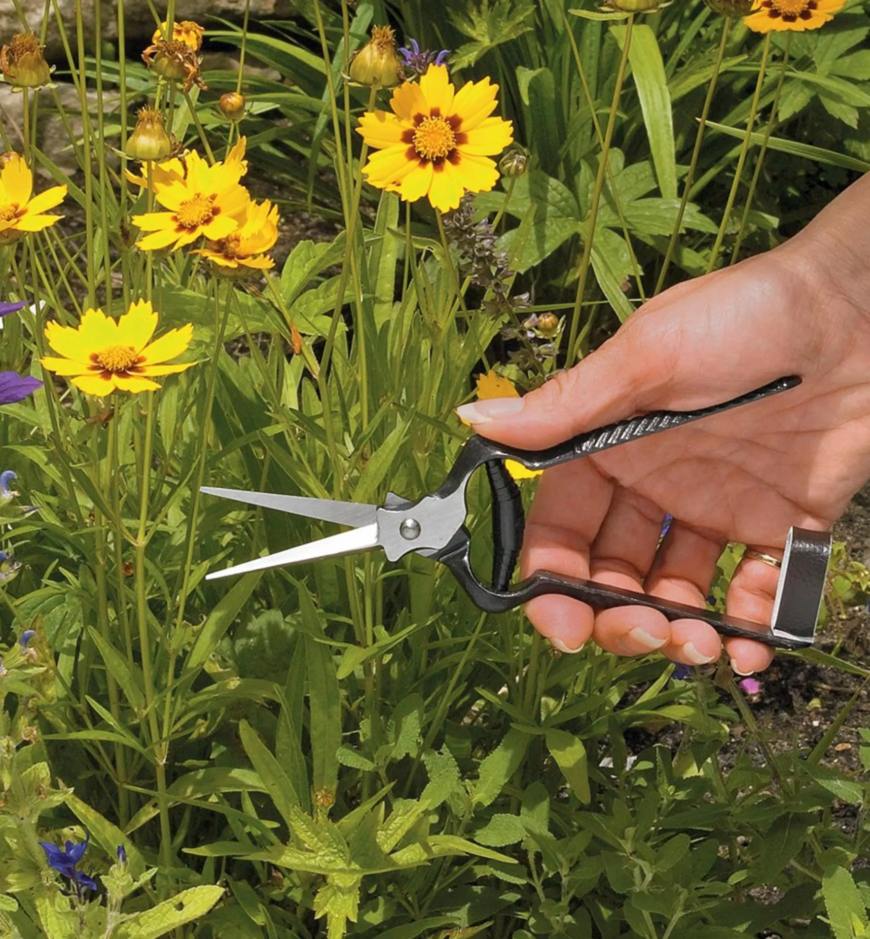 New Forged Flower Snips Harvesting