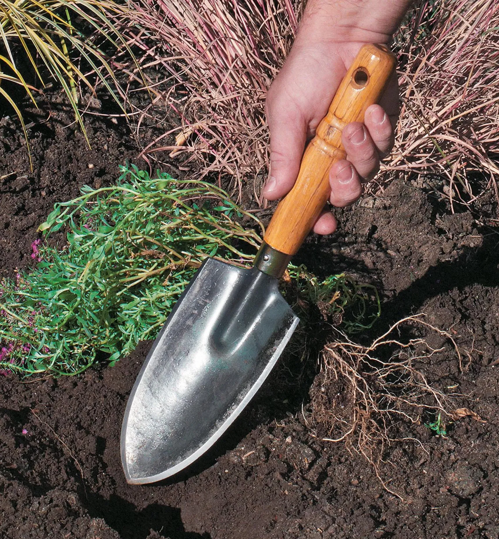 Best Forged Japanese Trowels Trowels