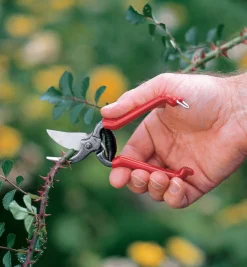 Best Forged Pocket Pruner Pruners