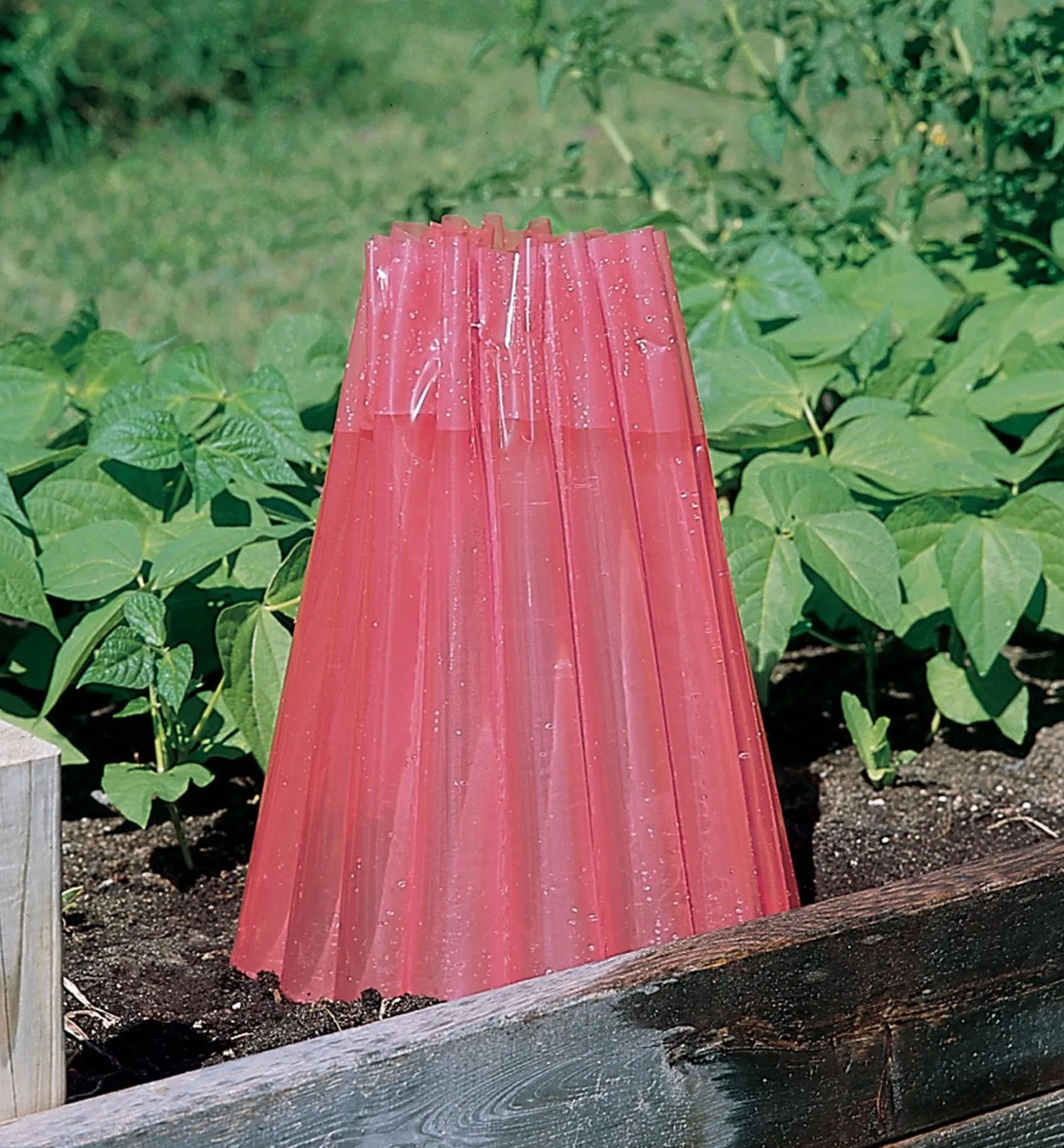 Frost Protectors Plant Protection