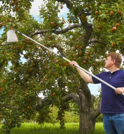 Sale Fruit Picker Harvesting