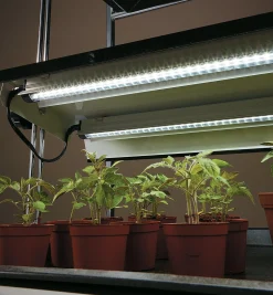 New Full-Spectrum LED Grow Lights Grow Lights