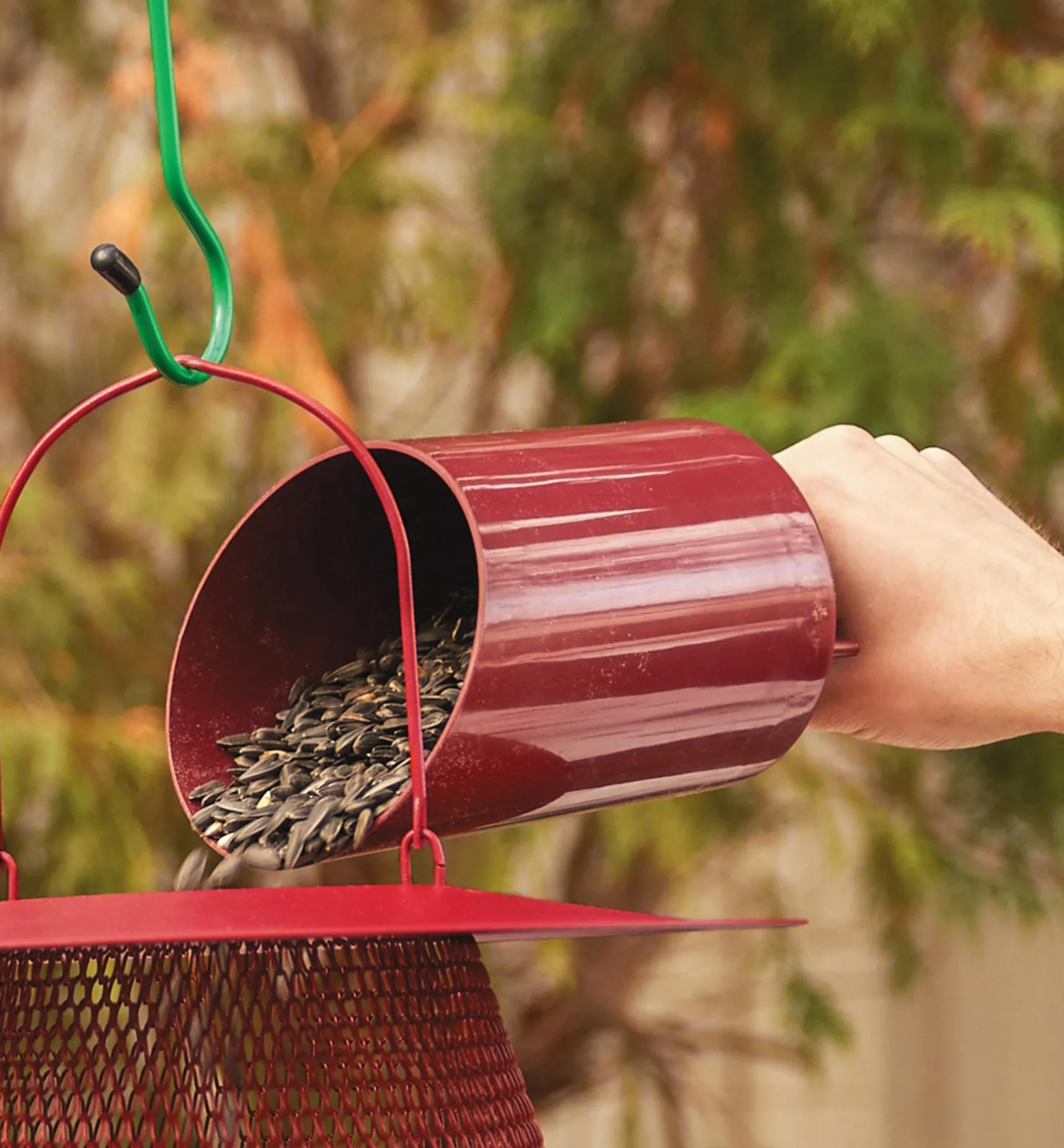 Funneling Bird Seed Scoop Birding