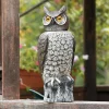 Hot Garden Scare Owl Pest Control