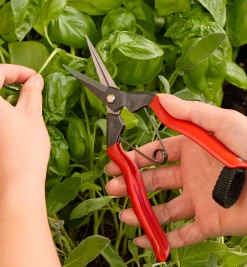 Online Garden Snips Garden Care