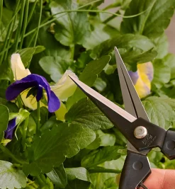 Online Garden Snips Garden Care