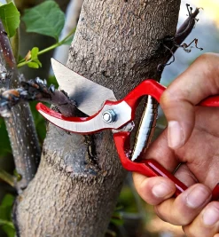 Discount General-Purpose Pruner & Shears Set Pruners