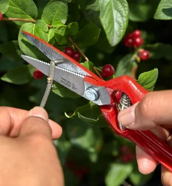 Discount General-Purpose Pruner & Shears Set Pruners
