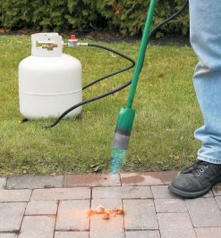 Best Giant Weed Torch Weeding