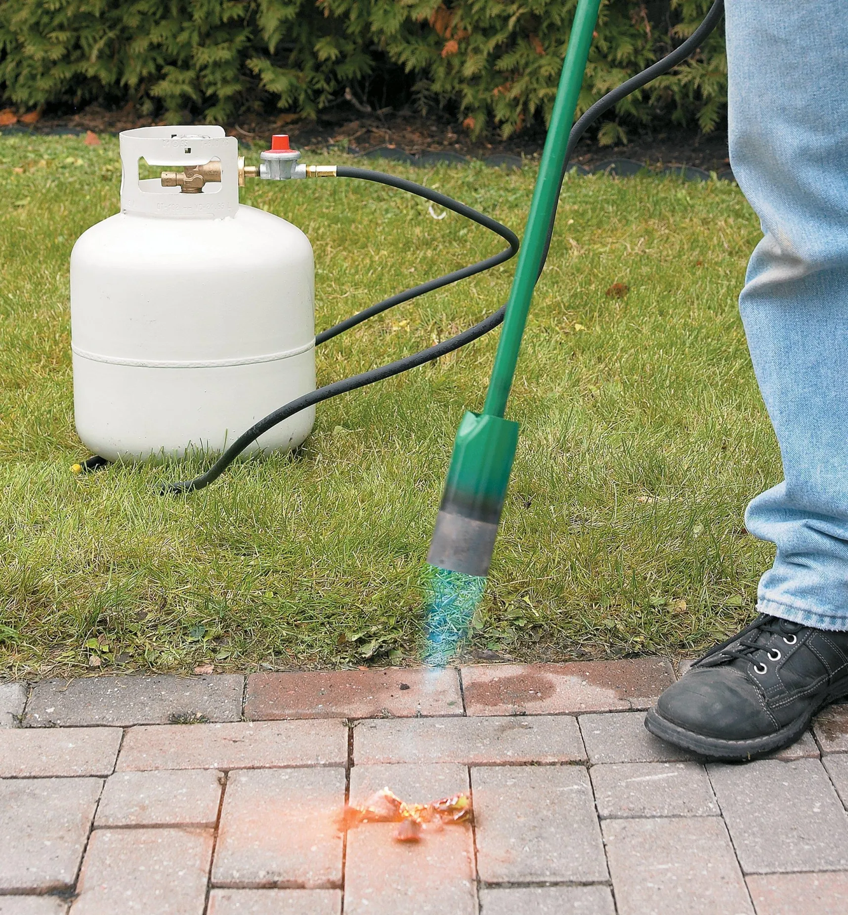 Best Giant Weed Torch Weeding