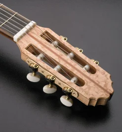 Hot Gotoh Tuning Machines Project Supplies