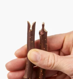 Grafting Tool Propagation