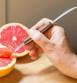 Best Grapefruit Knife Knives & Cutlery