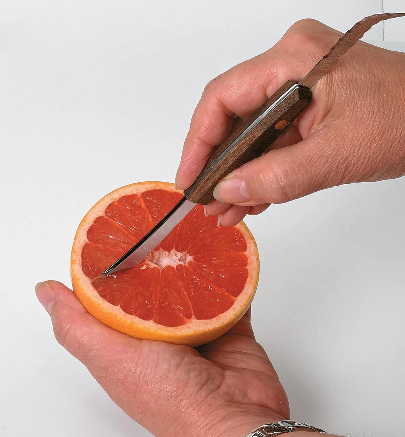 Best Grapefruit Knife Knives & Cutlery