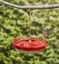 Clearance Hanging Hummingbird Feeder Birding