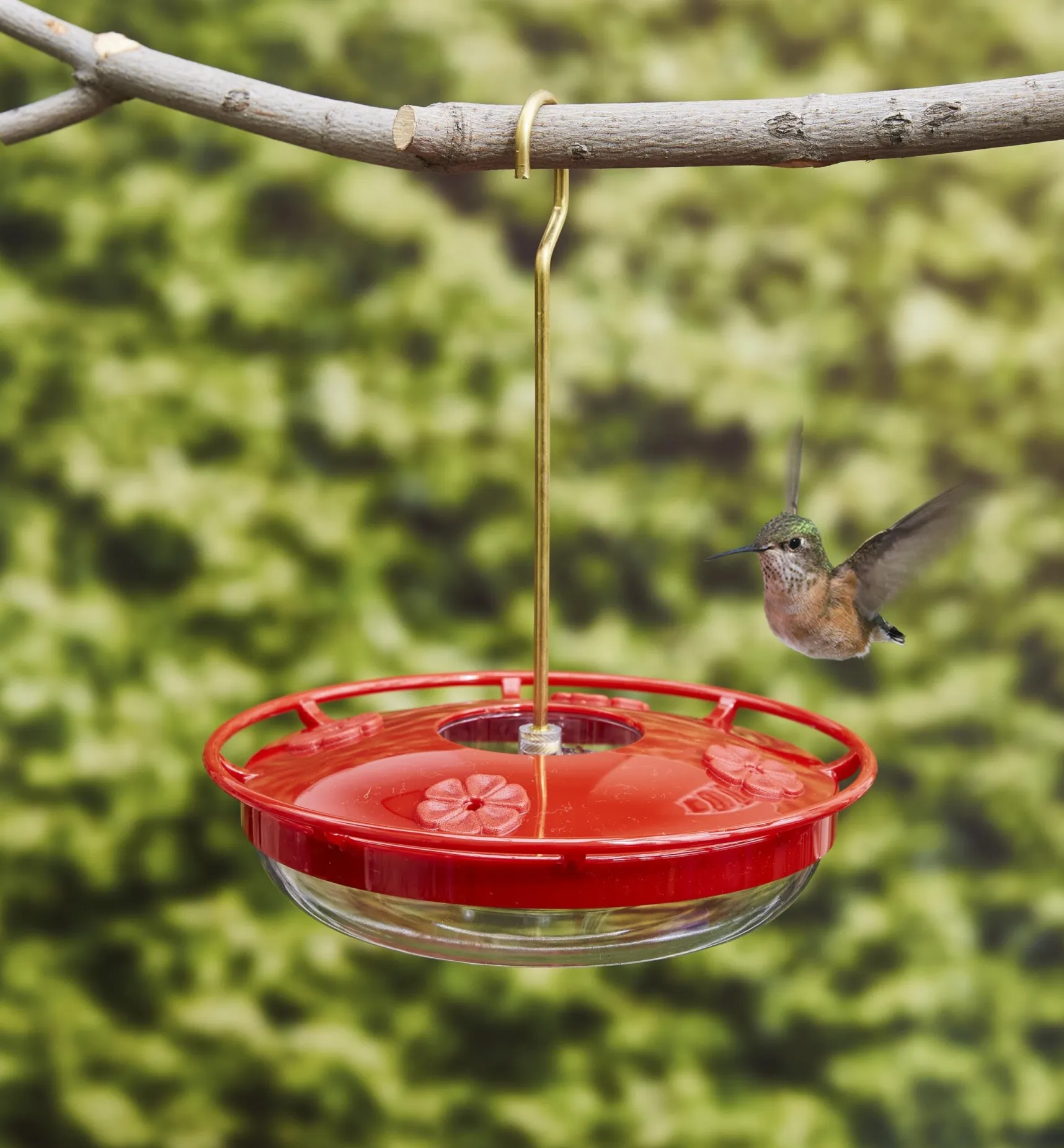 Clearance Hanging Hummingbird Feeder Birding