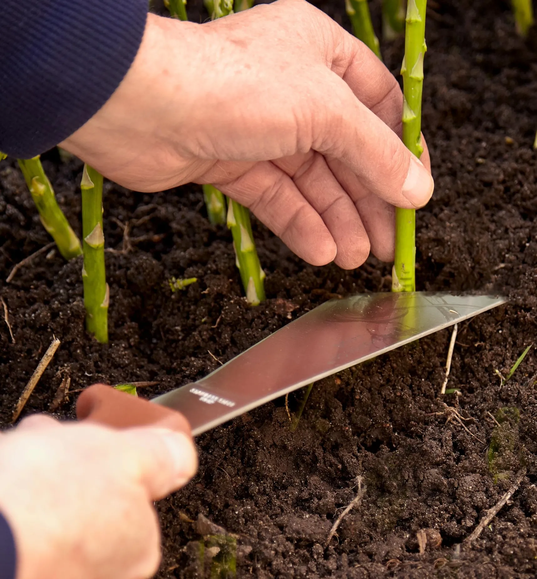 Sale Harvest Knife Harvesting