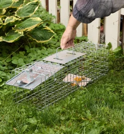 Sale Havahart Animal Traps Pest Control