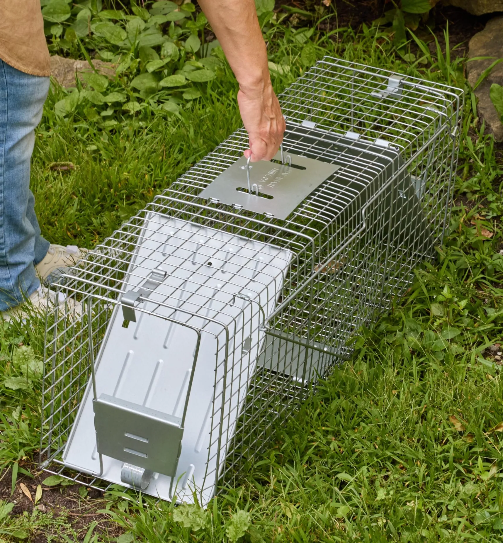 Sale Havahart Animal Traps Pest Control