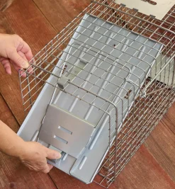 Sale Havahart Animal Traps Pest Control