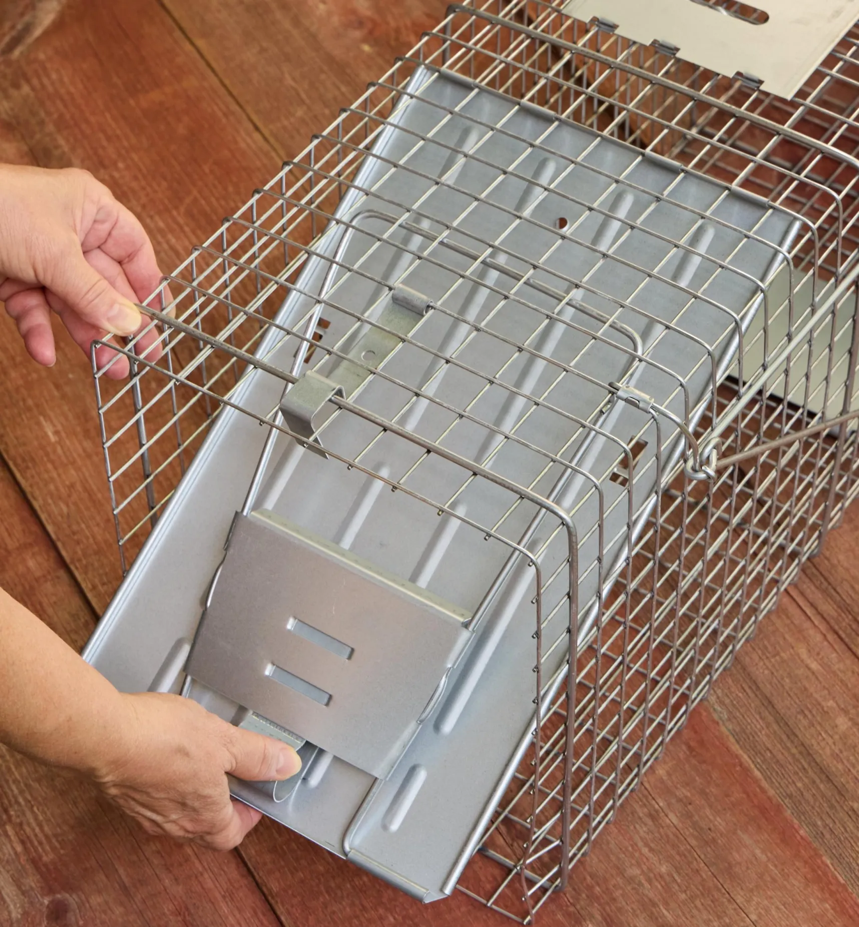 Sale Havahart Animal Traps Pest Control