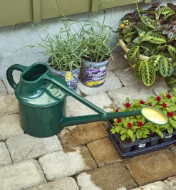 Hot Haws Plastic Watering Can Indoor Gardening